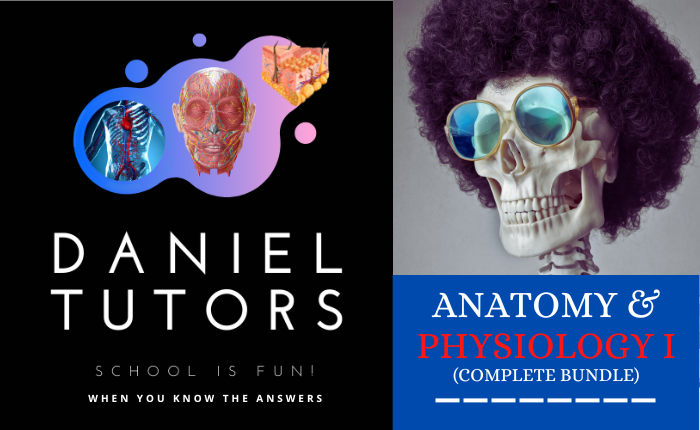 Anatomy & Physiology I (Complete Bundle)